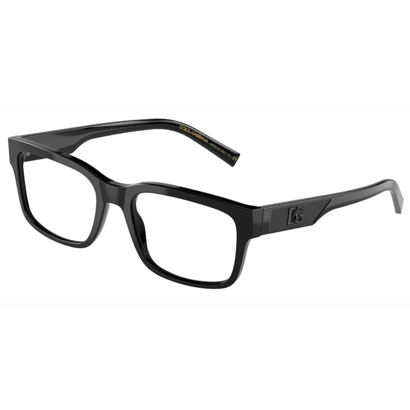 DOLCE E GABBANA 0DG3352-501