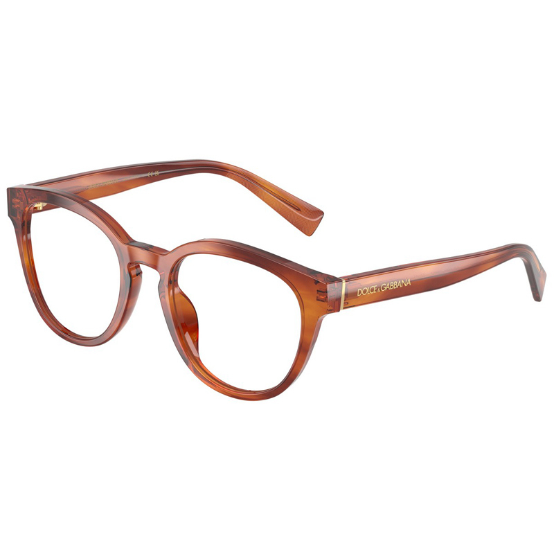 DOLCE E GABBANA 0DG3421-3221