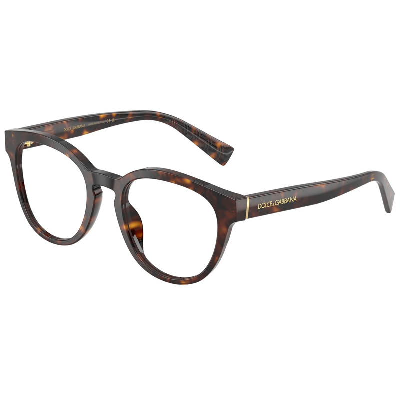 DOLCE E GABBANA 0DG3421-502