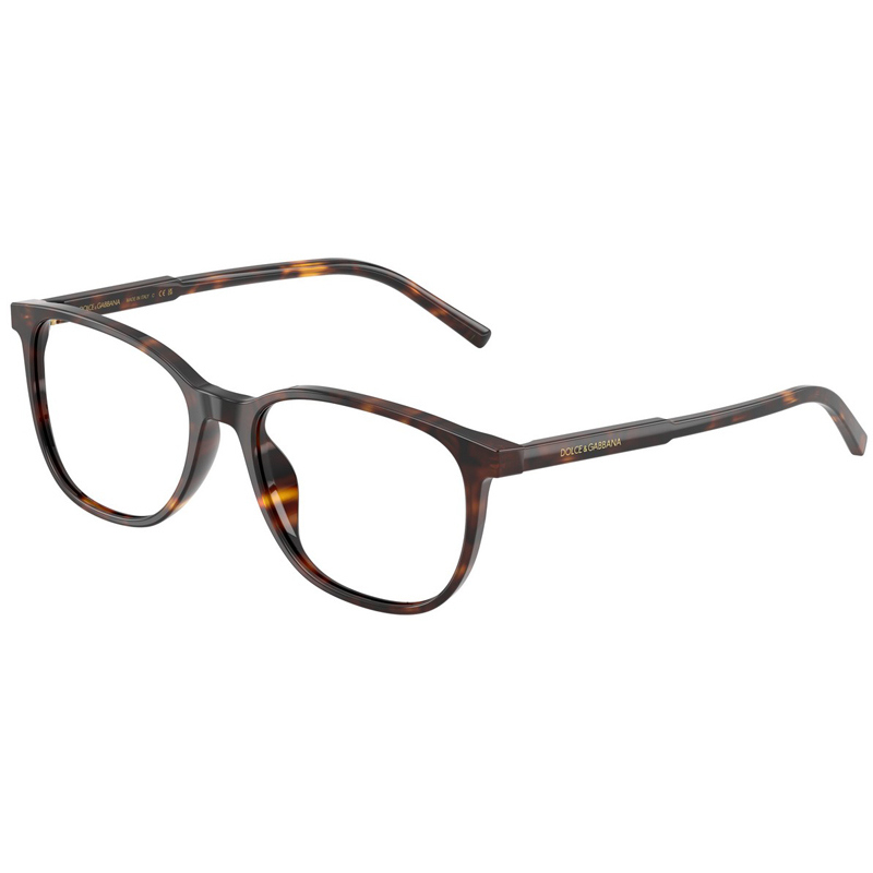 DOLCE E GABBANA 0DG3426-502