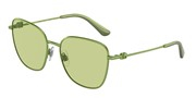 Dolce e Gabbana Model: 0DG2293-13142