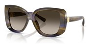 Dolce e Gabbana 0DG4495-344713