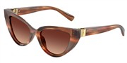 Dolce e Gabbana 0DG4497-322113