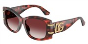Dolce e Gabbana 0DG4501-33588H