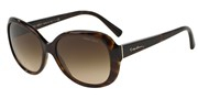 Giorgio Armani 0AR8047-502613