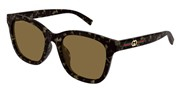 Gucci GG1984SK-003