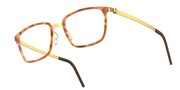 LINDBERG 9760-GTK25