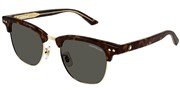 Kúpte alebo zväčšite obrázok Mont Blanc MB0382S-003.