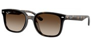 Kúpte alebo zväčšite obrázok Ray Ban 0RB4461D-71013.