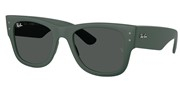 Kúpte alebo zväčšite obrázok Ray Ban 0RB4840S-665787.