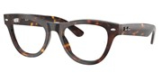 Ray Ban 0RX5510-2012