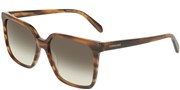 Salvatore Ferragamo SF2102S-216