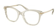 Kúpte alebo zväčšite obrázok Swarovski Eyewear 0SK2044-3003.
