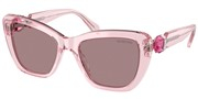 Kúpte alebo zväčšite obrázok Swarovski Eyewear 0SK6018-30017N.