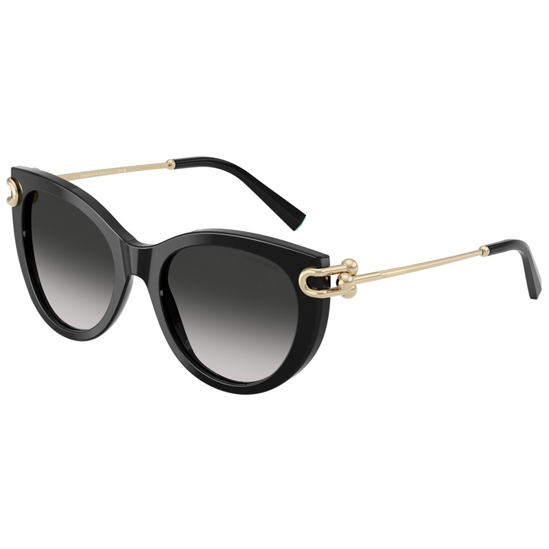 TIFFANY 0TF4232-80013C