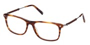 Kúpte alebo zväčšite obrázok Tods Eyewear TO5266-053.